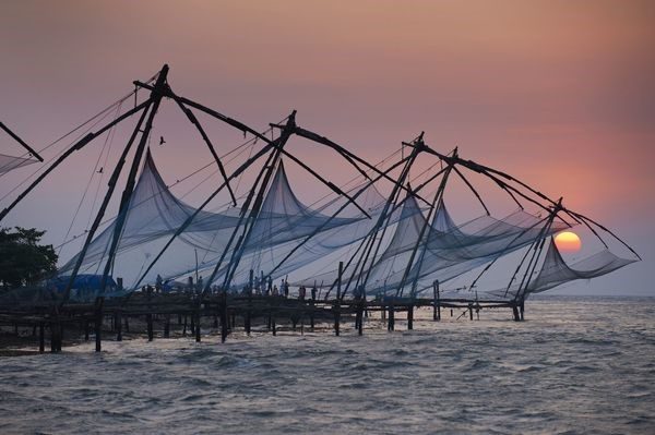  شبكات الصيد الصينية  كوتشي الهند