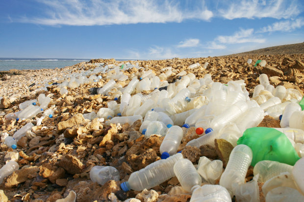 تأثير البلاستيك على البيئة