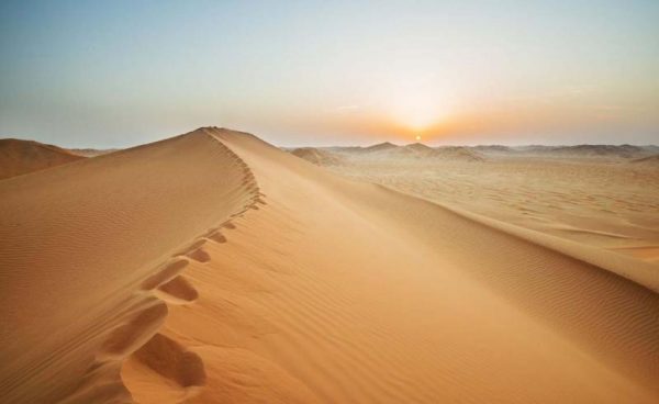 بحث عن البيئة الصحراوية واهم خصائصها