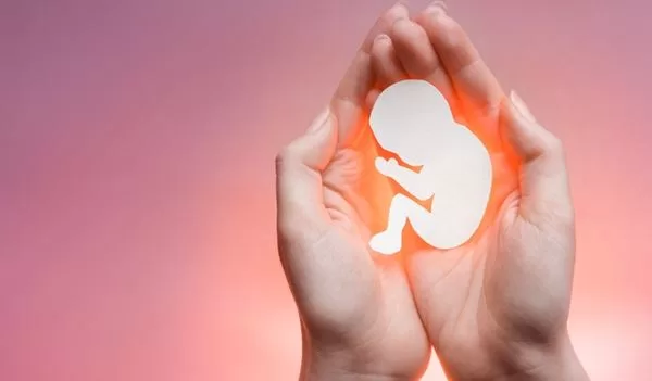 تجارب الإجهاض في الشهر الخامس